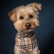 Kendők, masnik, nyakörvdíszek