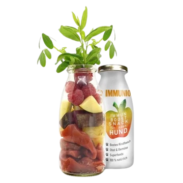 SmoothieDog_Immuno