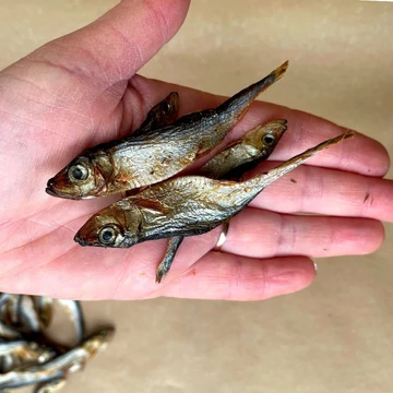 Prémium sprotni jutalomfalat 100 g - BARF LOVE