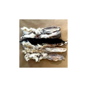 Szárított szőrös nyúlfül