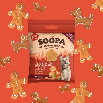 SOOPA Healthy Bites - Gingerbread biscuit falatok