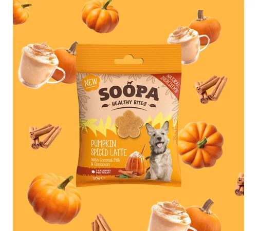 SOOPA Healthy Bites - Pumpkin spice latte, jutalomfalat fűszeres sütőtökkel és kókusztejjel 50g