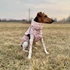 Kép 1/3 - Pink softshell kabát