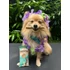 Kép 4/6 - SOOPA Dental Sticks - Paw-Ña Colada kókusztejjel és ananásszal 100 g